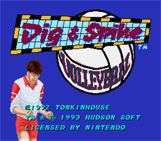 Dig & Spike Volleyball - Screenshot - Game Title Image