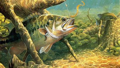 Big Bass Fishing - Fanart - Background Image