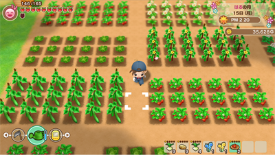 Story of Seasons: Friends of Mineral Town - Screenshot - Gameplay Image