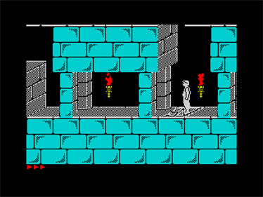 Prince of Persia - Screenshot - Gameplay Image