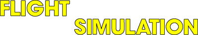 Flight Simulation - Clear Logo Image
