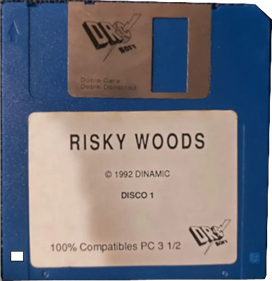 Risky Woods - Disc Image