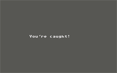 Beyond Castle Wolfenstein - Screenshot - Game Over Image