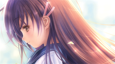 Narcissu 10th Anniversary Anthology Project Details - Launchbox Games 