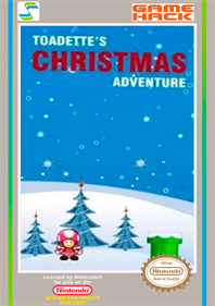 Toadette's Christmas Adventure