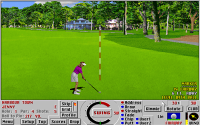 Golf Links 386 Pro - Screenshot - Gameplay Image