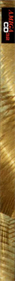 Grandslam Gamer Gold Collection - Box - Spine Image