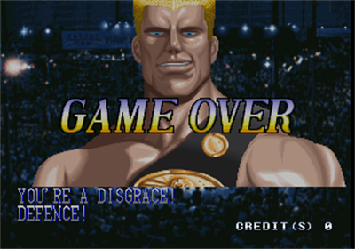 Best Bout Boxing - Screenshot - Game Over Image