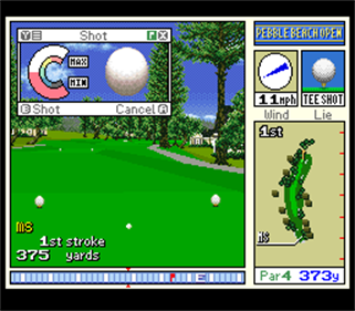 True Golf Classics: Pebble Beach Golf Links - Screenshot - Gameplay Image