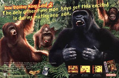 Donkey Kong Land 2 - Advertisement Flyer - Front Image