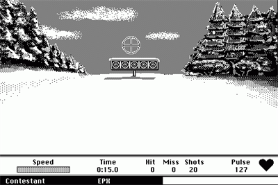 Winter Games - Screenshot - Gameplay Image