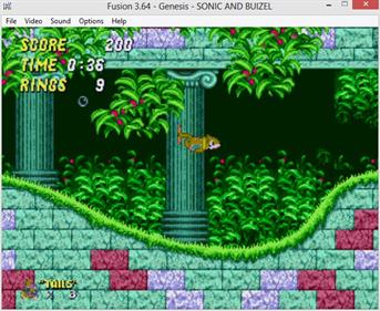 Buizel in Sonic 2 - Screenshot - Gameplay Image