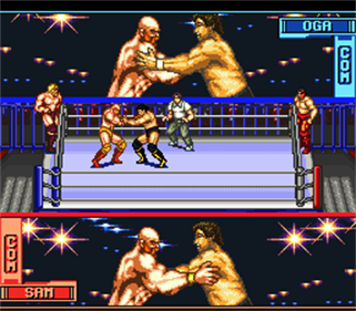 HammerLock Wrestling - Screenshot - Gameplay Image