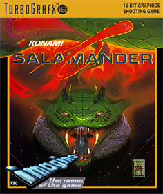 Salamander - Box - Front Image