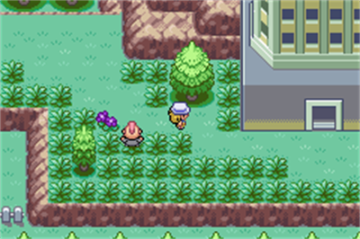 Pokémon Fuligin - Screenshot - Gameplay Image