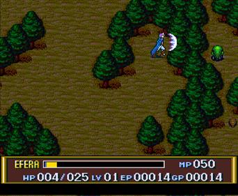 Efera & Jiliora: The Emblem From Darkness - Screenshot - Gameplay Image