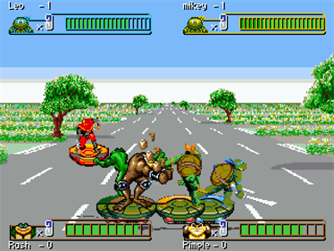 Teenage Mutant Ninja Turtles and BattleToads (Special Edition) - Screenshot - Gameplay Image