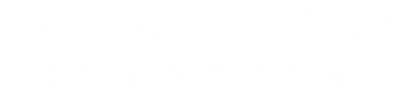 Secret Files: Tunguska - Clear Logo Image