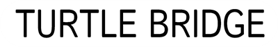 Turtle Bridge - Clear Logo Image
