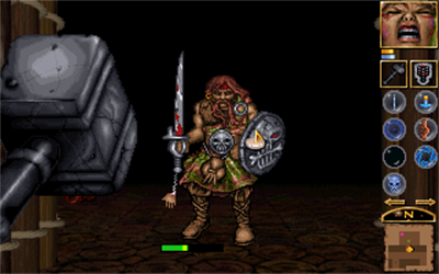 Anvil of Dawn - Screenshot - Gameplay Image