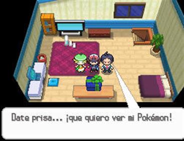 Pokémon White Version - Screenshot - Gameplay Image