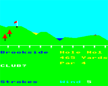 Super Golf - Screenshot - Gameplay Image