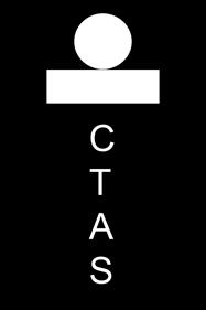 C-TAS: A Virtual Chinese Learning Game