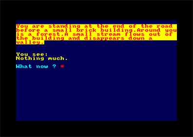 Colossal Cave Adventure - Screenshot - Gameplay Image