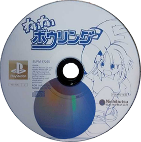 Family Bowling - Disc Image