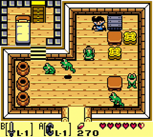 The Legend of Zelda: Link's Awakening DX - Screenshot - Gameplay Image