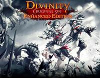 Divinity: Original Sin: Enhanced Edition - Banner