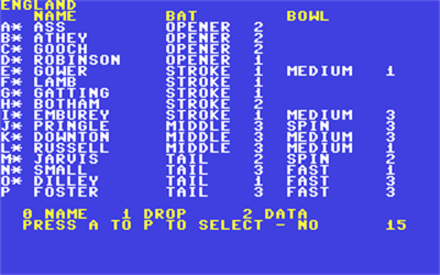 Cricket Master - Screenshot - Gameplay Image