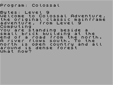 Colossal Adventure - Screenshot - Gameplay Image