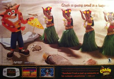 Crash Bandicoot: The Huge Adventure - Advertisement Flyer - Front Image