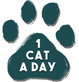 1 Cat a Day - Clear Logo Image
