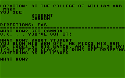Williamsburg Adventure 3 - Screenshot - Gameplay Image