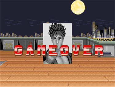 Big Fight - Screenshot - Game Over Image
