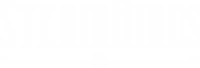 SteamBirds - Clear Logo Image