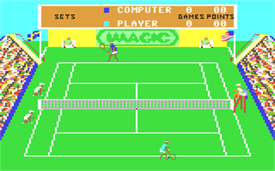 Tournament Tennis - Screenshot - Gameplay Image