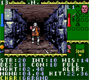 Towers II: Plight of the Stargazer - Screenshot - Gameplay Image