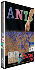 ANTS - Box - 3D Image