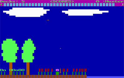 Duck Hunt - Screenshot - Gameplay Image