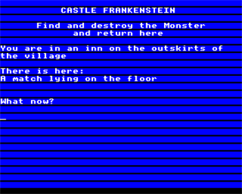 Castle Frankenstein - Screenshot - Gameplay Image