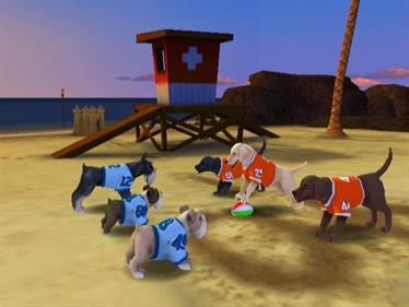 Jerry Rice & Nitus' Dog Football - Screenshot - Gameplay Image