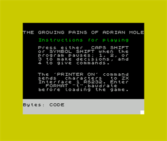 The Growing Pains of Adrian Mole - Screenshot - Game Title Image