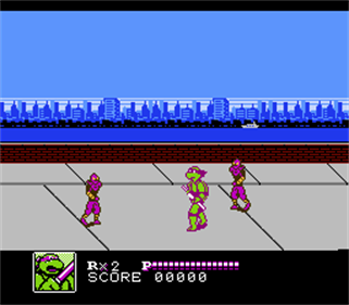 Teenage Mutant Ninja Turtles: Donatello's Destiny - Screenshot - Gameplay Image