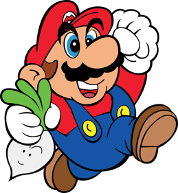 Super Mario Bros. 2 - Fanart - Background Image