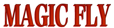 Magic Fly - Clear Logo Image