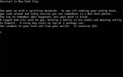 Survival in New York City - Screenshot - Gameplay Image