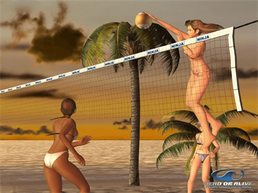 Dead or Alive: Xtreme Beach Volleyball - Screenshot - Gameplay Image